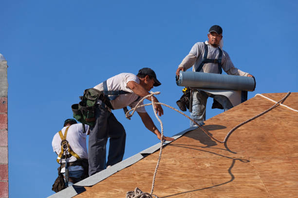 Best Gutter Installation and Roofing  in Hlsboro, IL