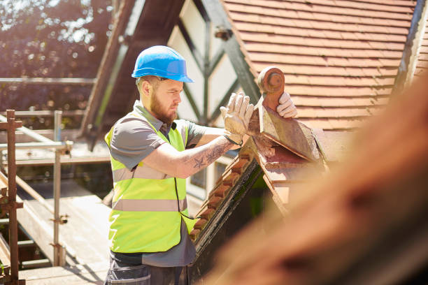 Best Roof Repair Services  in Hlsboro, IL